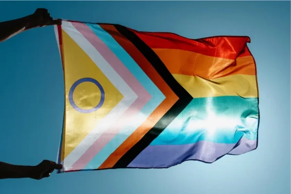 progress-flag Two hands holding onto the progress flag.