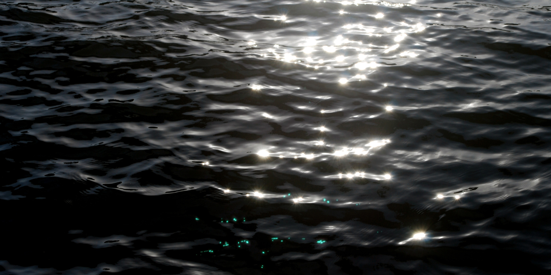 A photo of sun shining on gently rippling water.